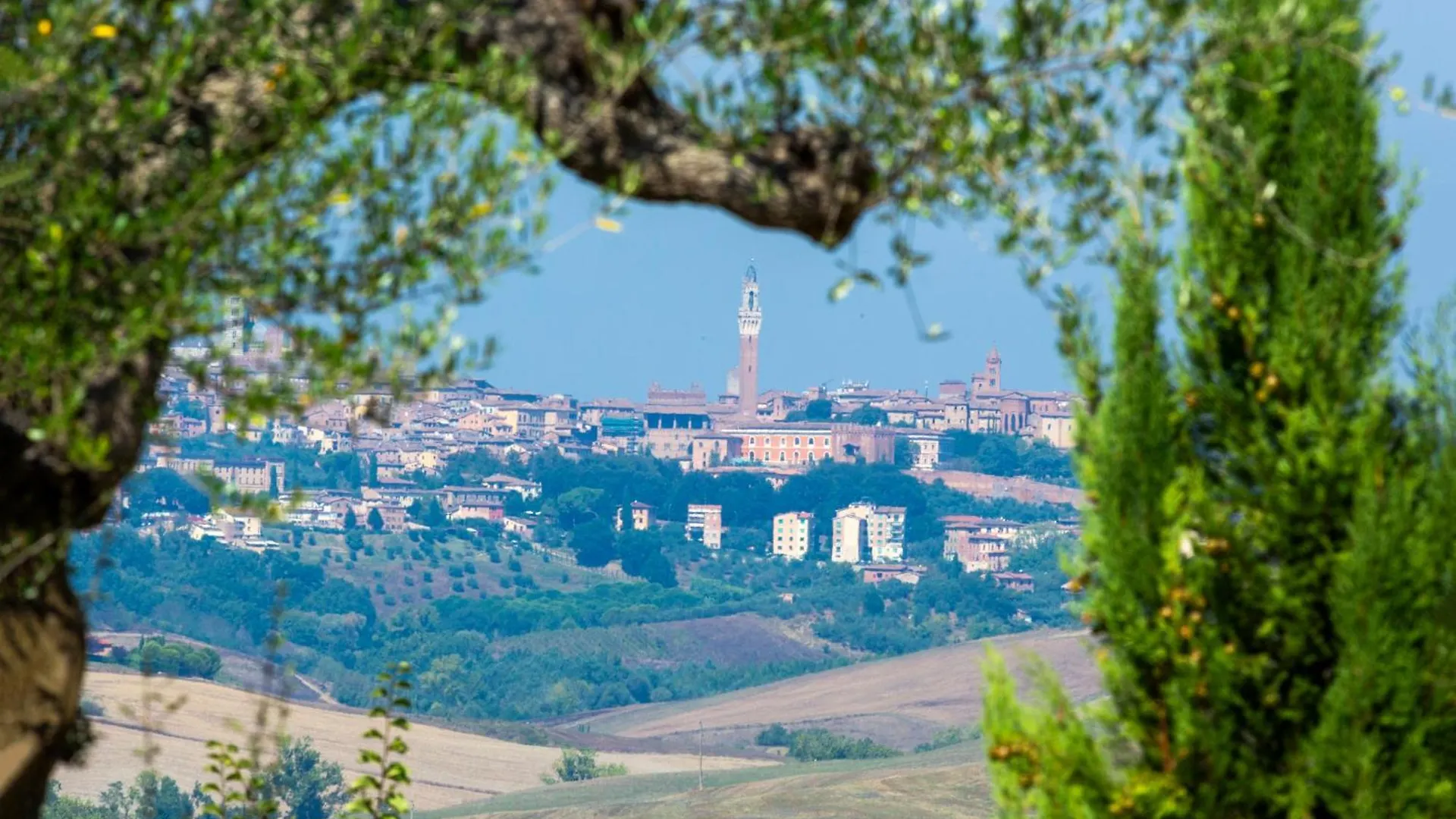 Casavacanze Vesta Isola d'Arbia Hétvégi ház